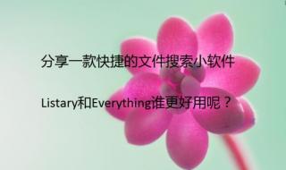 搜索everything